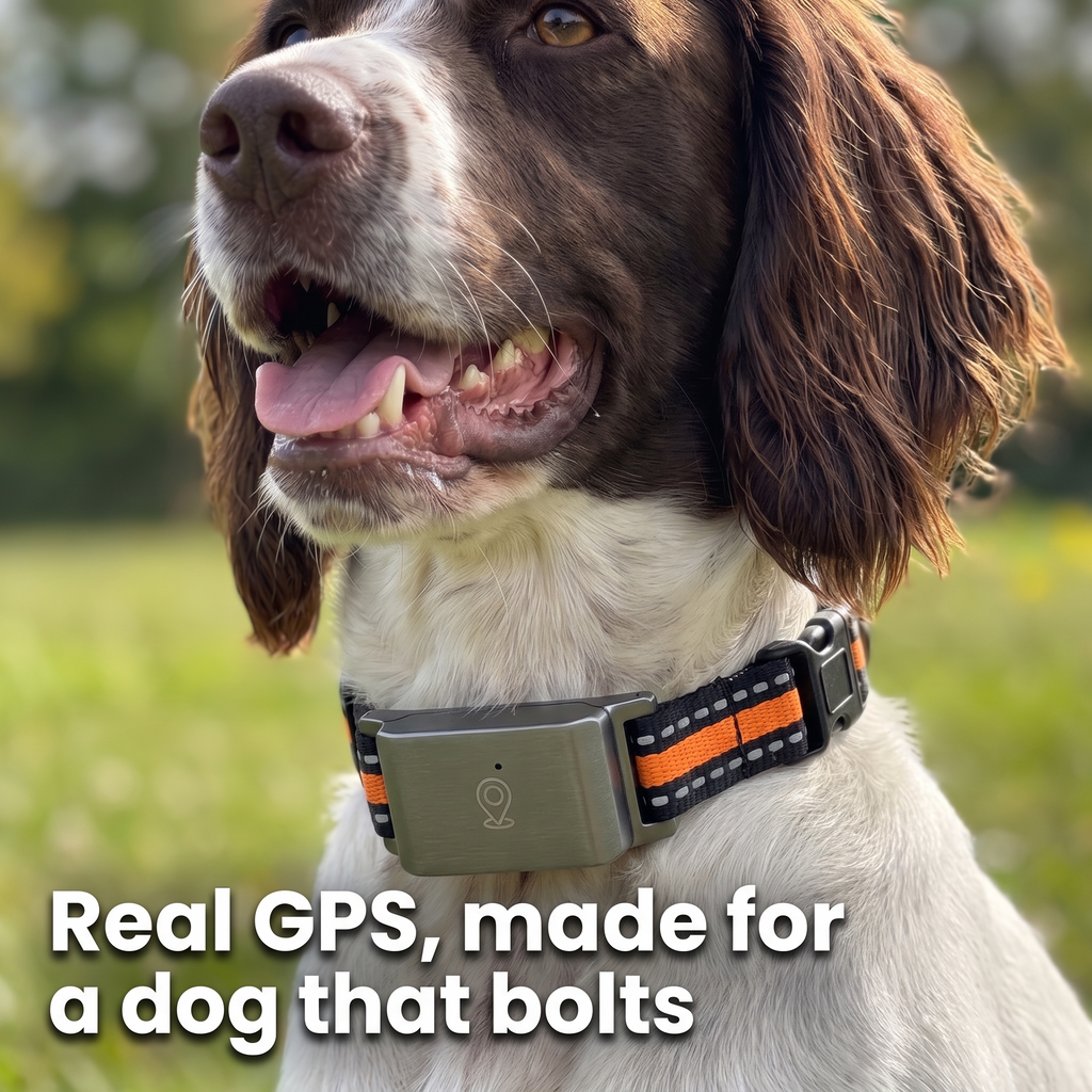 GPS Dog Tracker for Collars, No Subscription