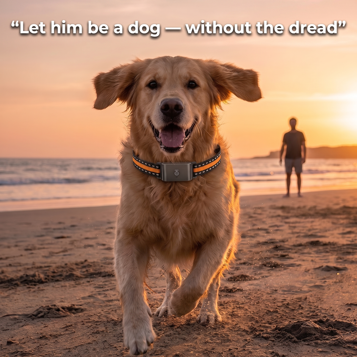 GPS Dog Tracker for Collars, No Subscription