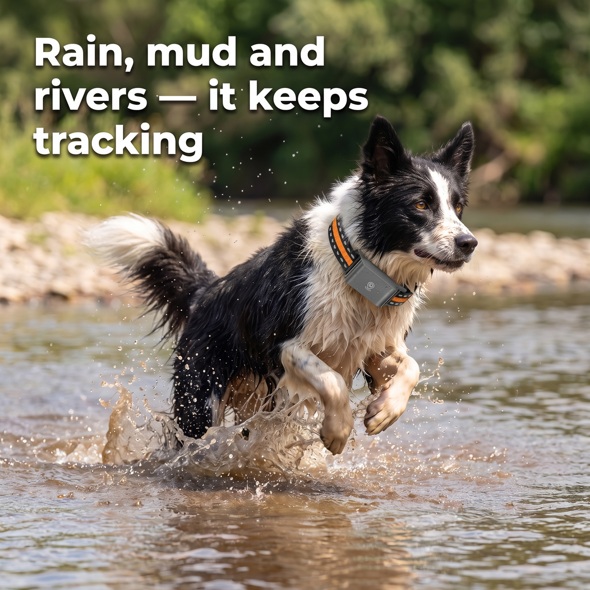 GPS Dog Tracker for Collars, No Subscription