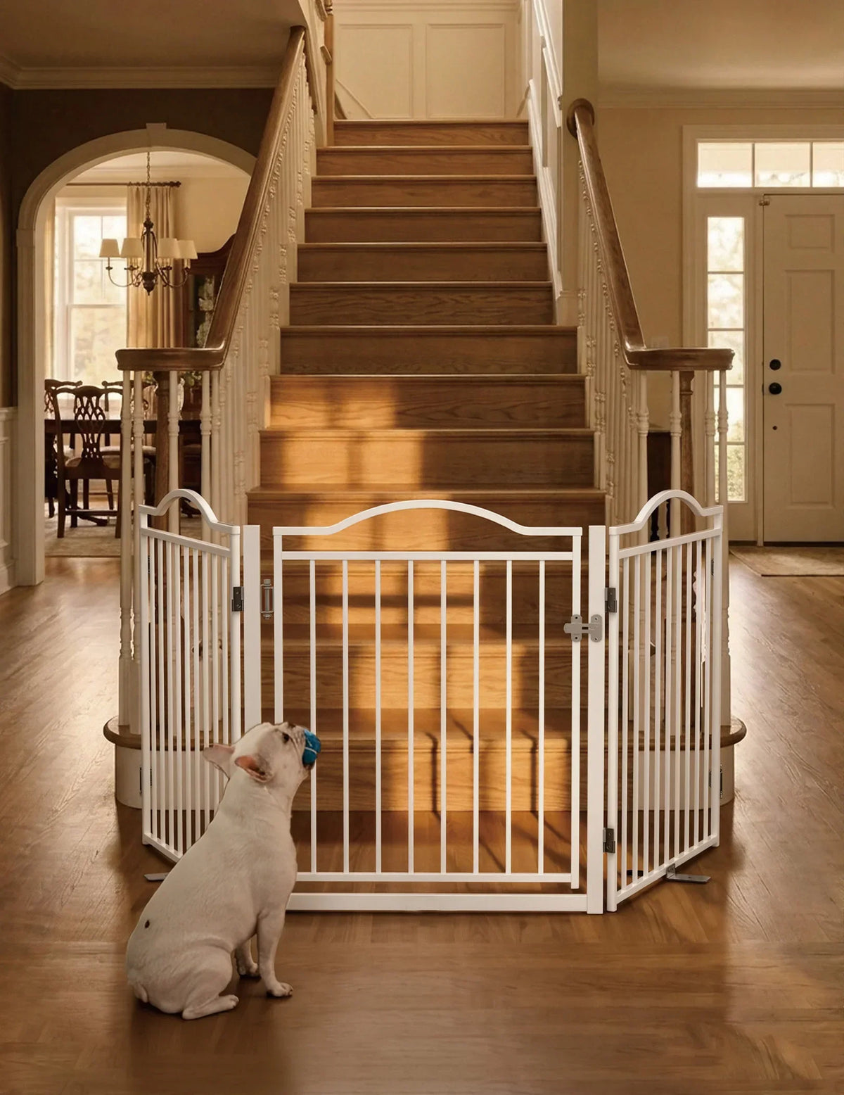 30-Inch Freestanding Dog Gate & Playpen