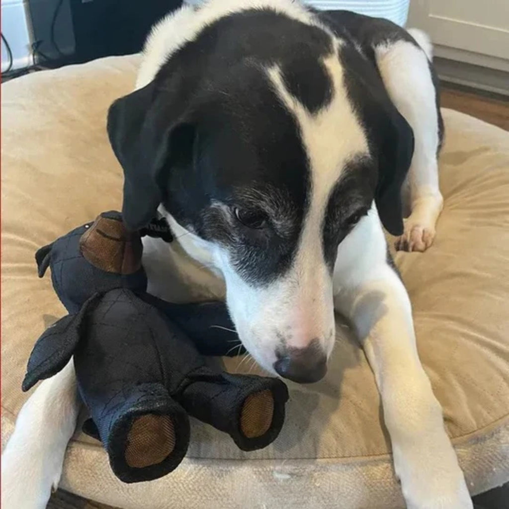 Bear-Shaped Dog Chew Toy for Fetch, Tug and Play