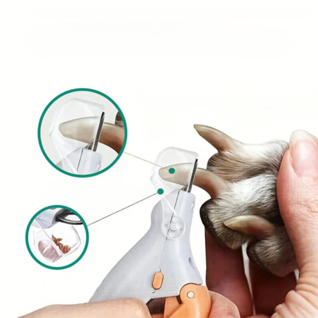 LED Pet Nail Clipper with Clear Safety Guard