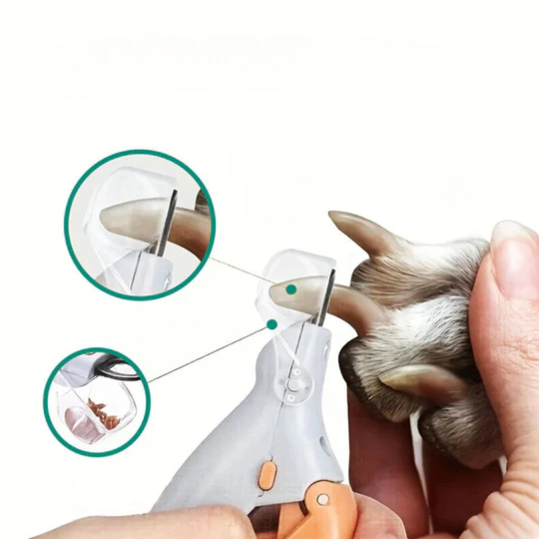 LED Pet Nail Clipper with Clear Safety Guard