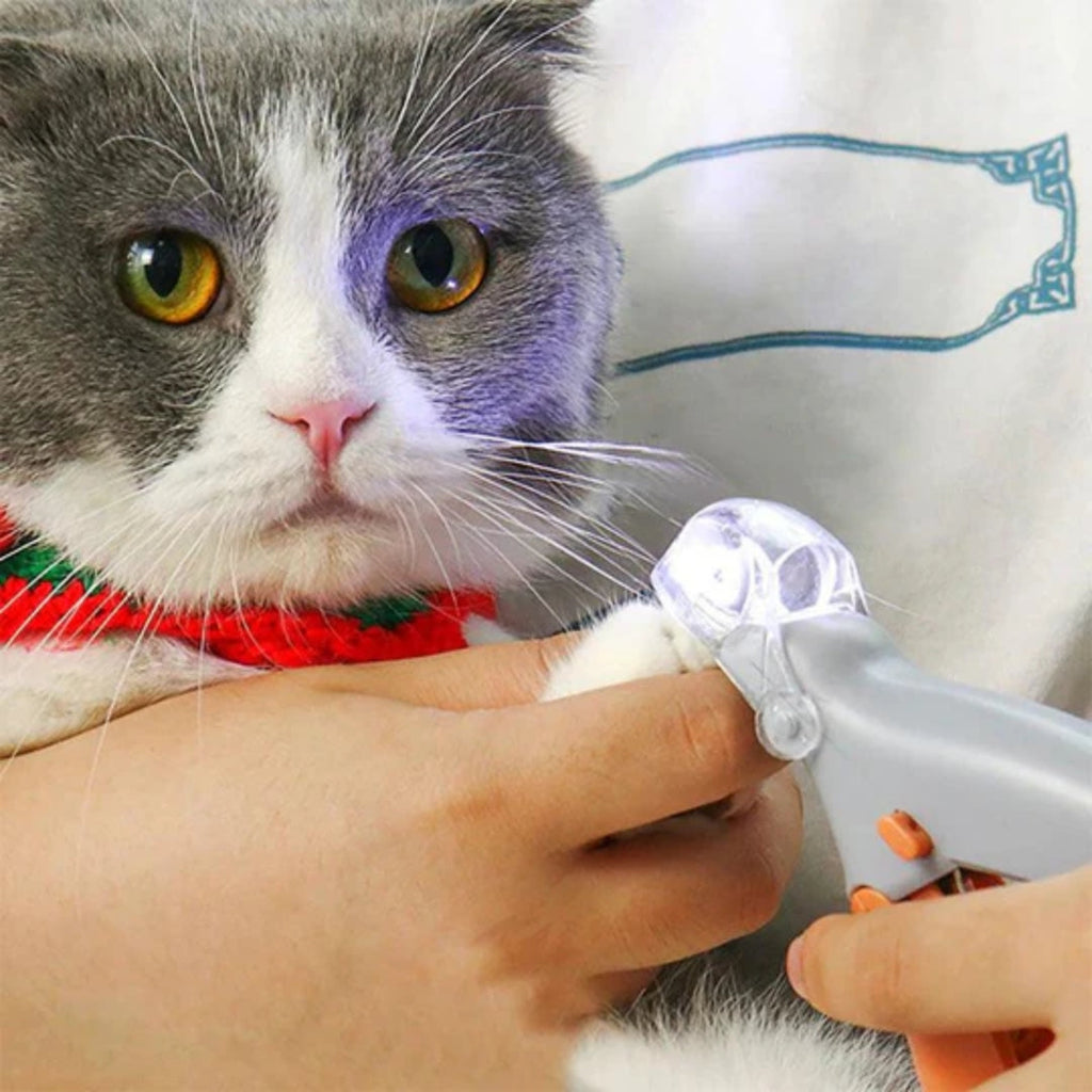 LED Pet Nail Clipper with Clear Safety Guard