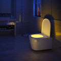 Motion Sensor Toilet Night Light