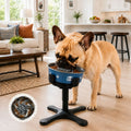 Tilted Raised Dog Bowl, 3-Height Stand with Slow Feeder