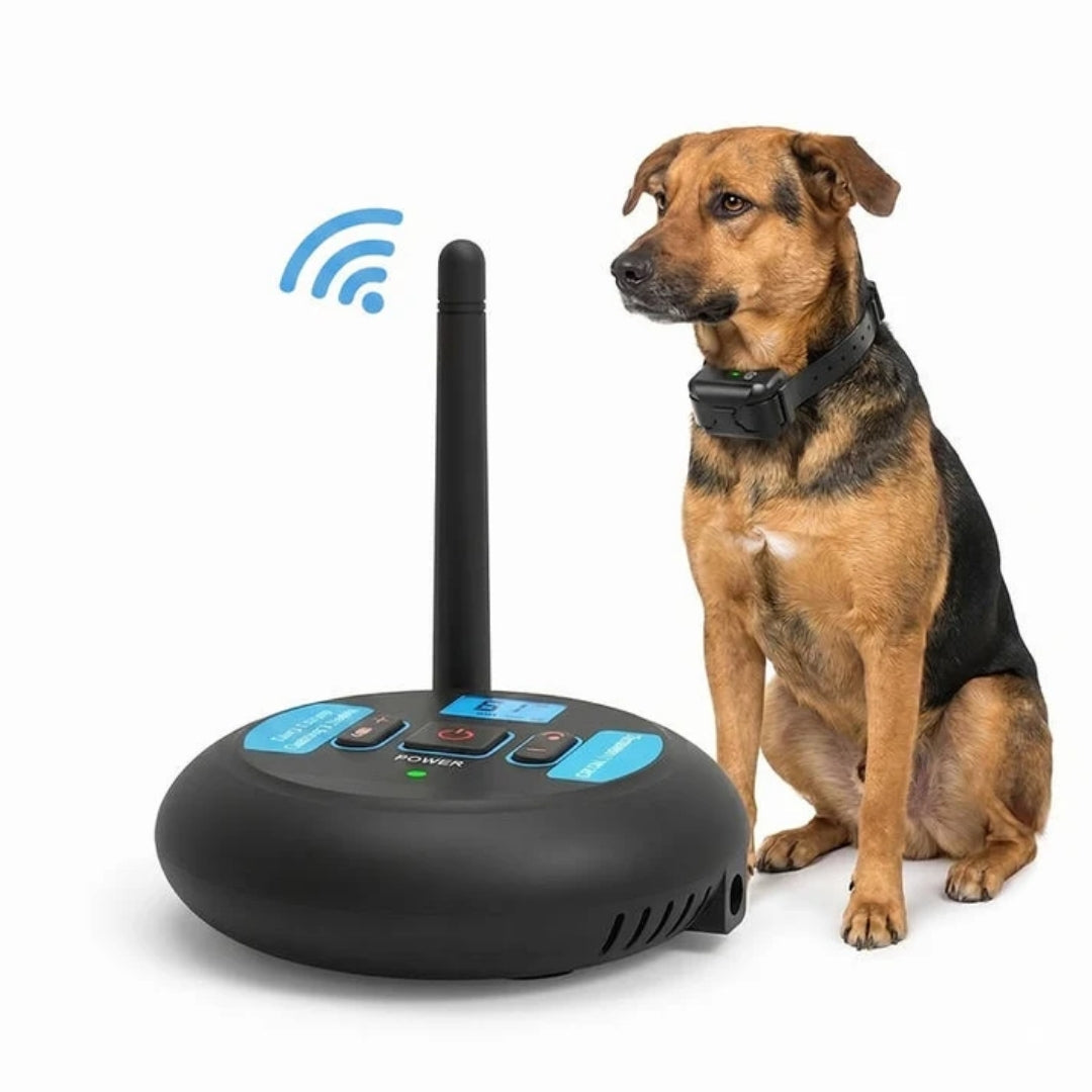 Wireless Dog Boundary System with Base Station and Collar