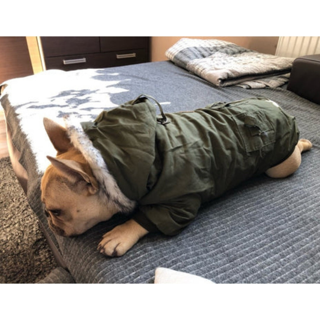 Hooded Dog Winter Coat with Faux Fur Trim
