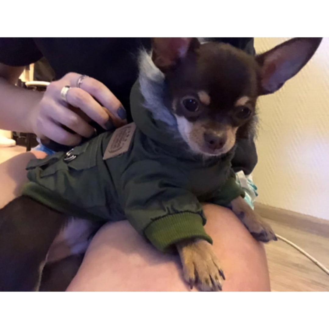 Hooded Dog Winter Coat with Faux Fur Trim