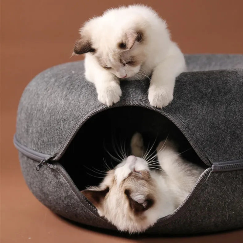 Round Cat Tunnel with Elevated Bed and Zip Connection