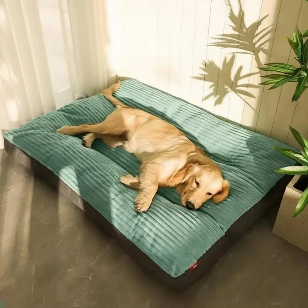 Green Bolster Dog Bed with Raised Edges and Low Entry