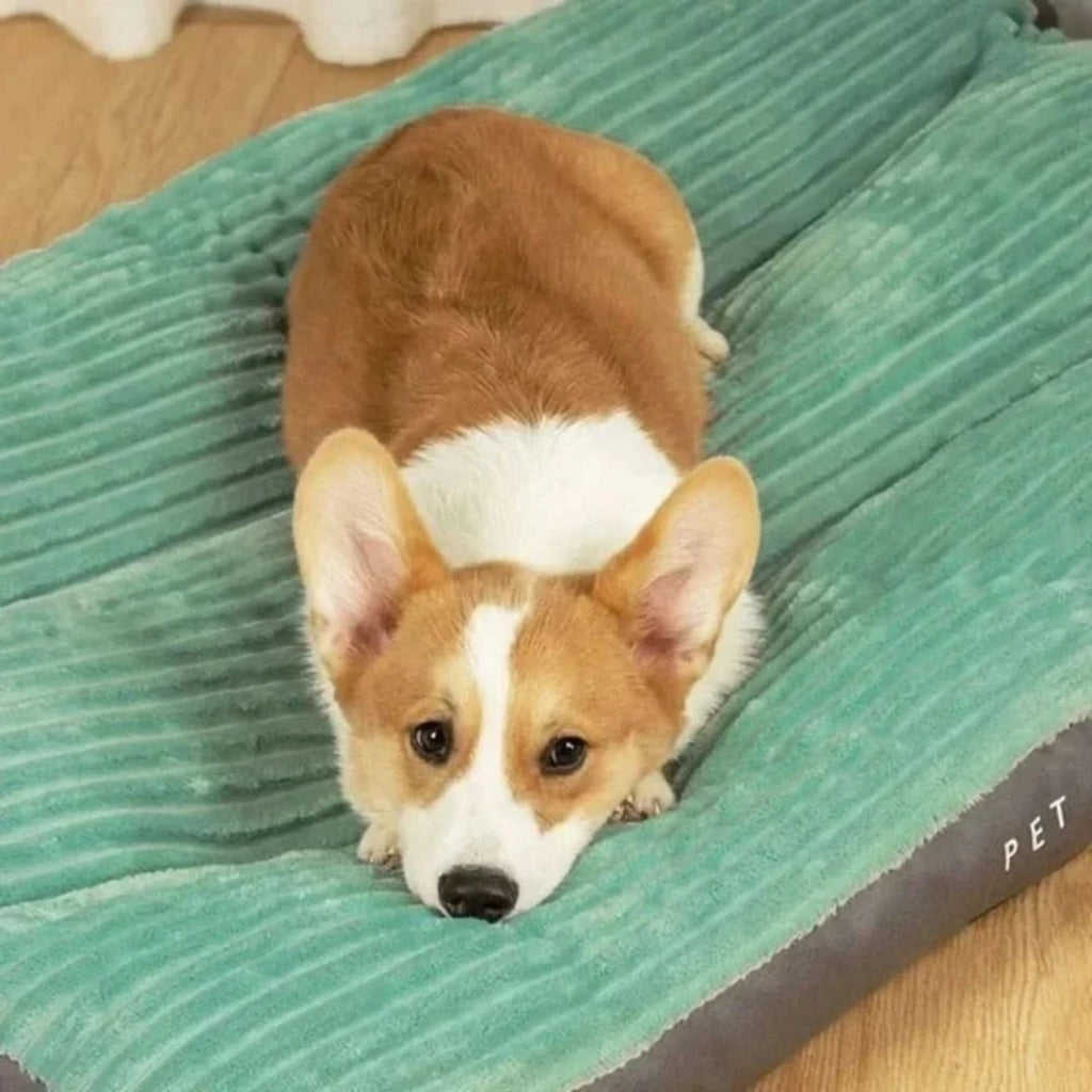 Green Bolster Dog Bed with Raised Edges and Low Entry