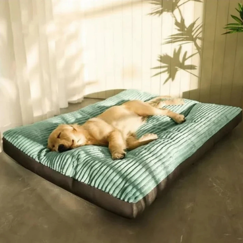 Green Bolster Dog Bed with Raised Edges and Low Entry