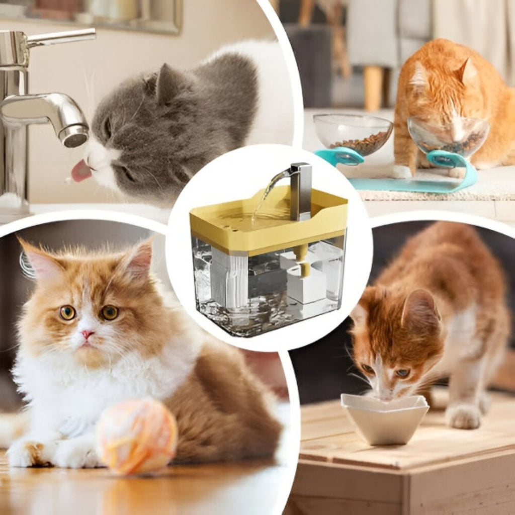 1.5 L Yellow Pet Water Fountain with Clear Reservoir