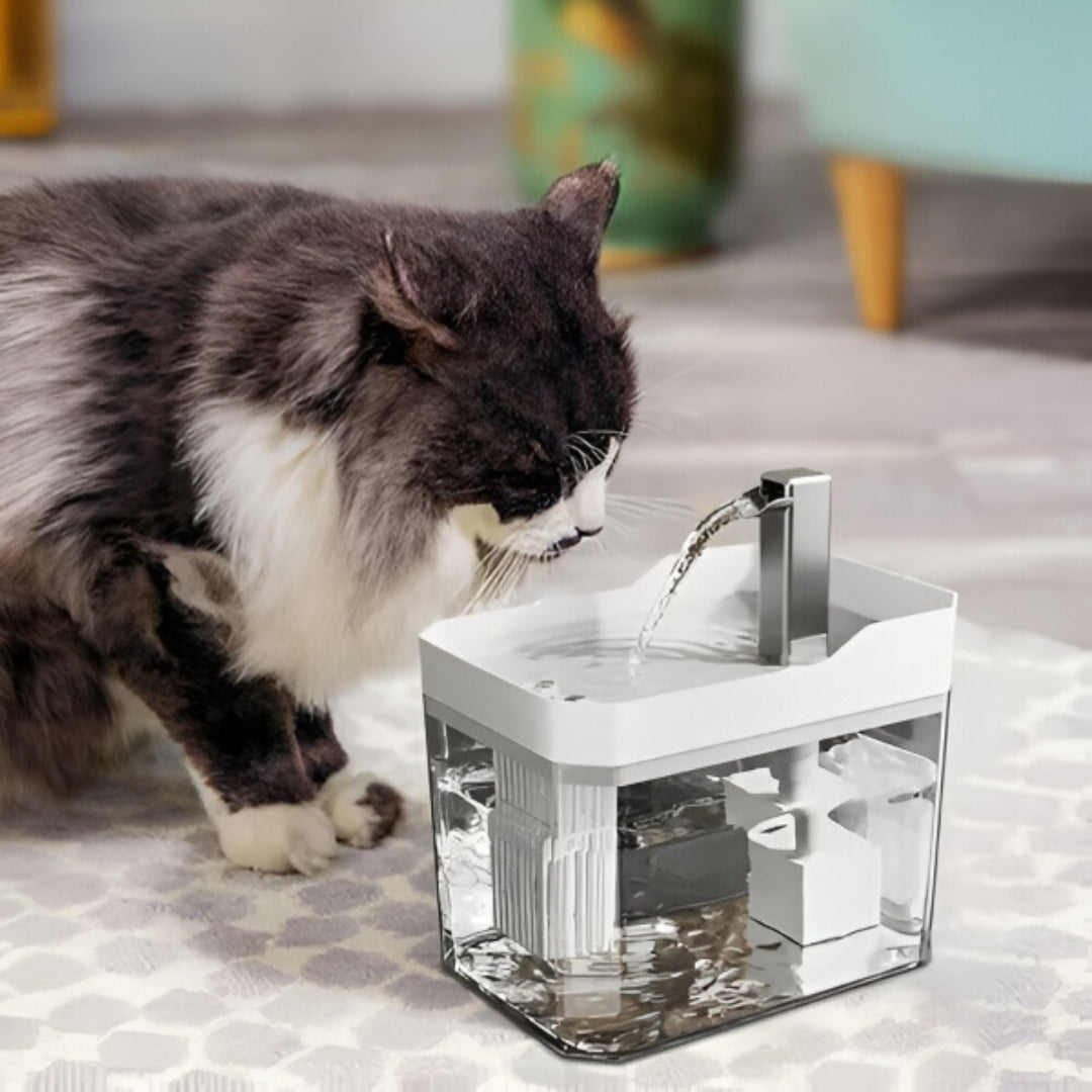 1.5 L Yellow Pet Water Fountain with Clear Reservoir