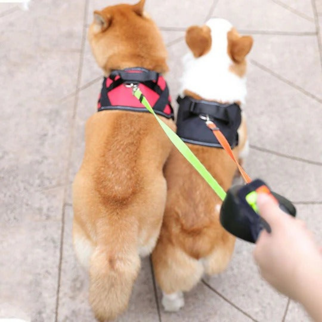 Retractable Double Dog Leash with Dual-Line Controls