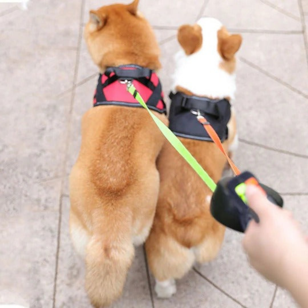 Retractable Double Dog Leash with Dual-Line Controls