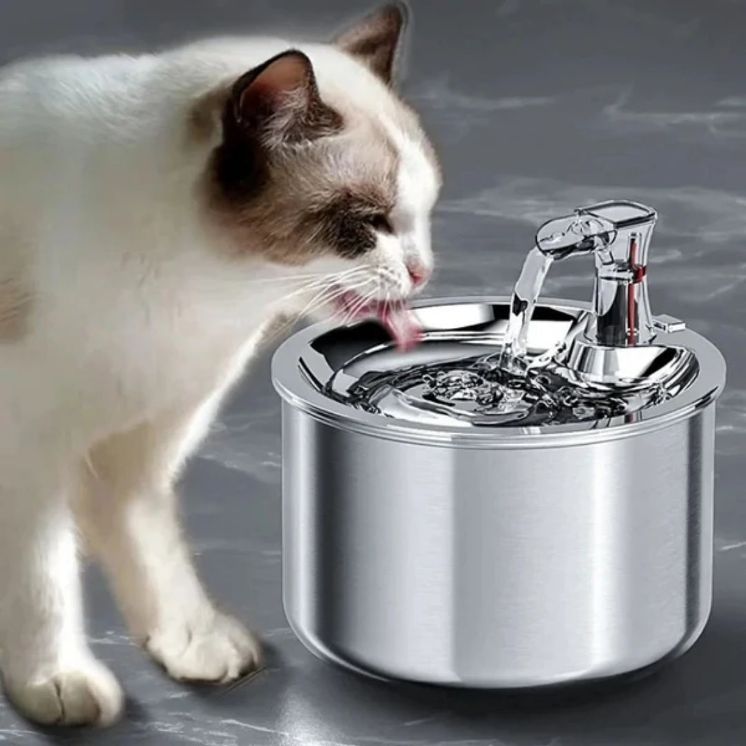 Stainless Steel Cat Water Fountain with Motion Sensor