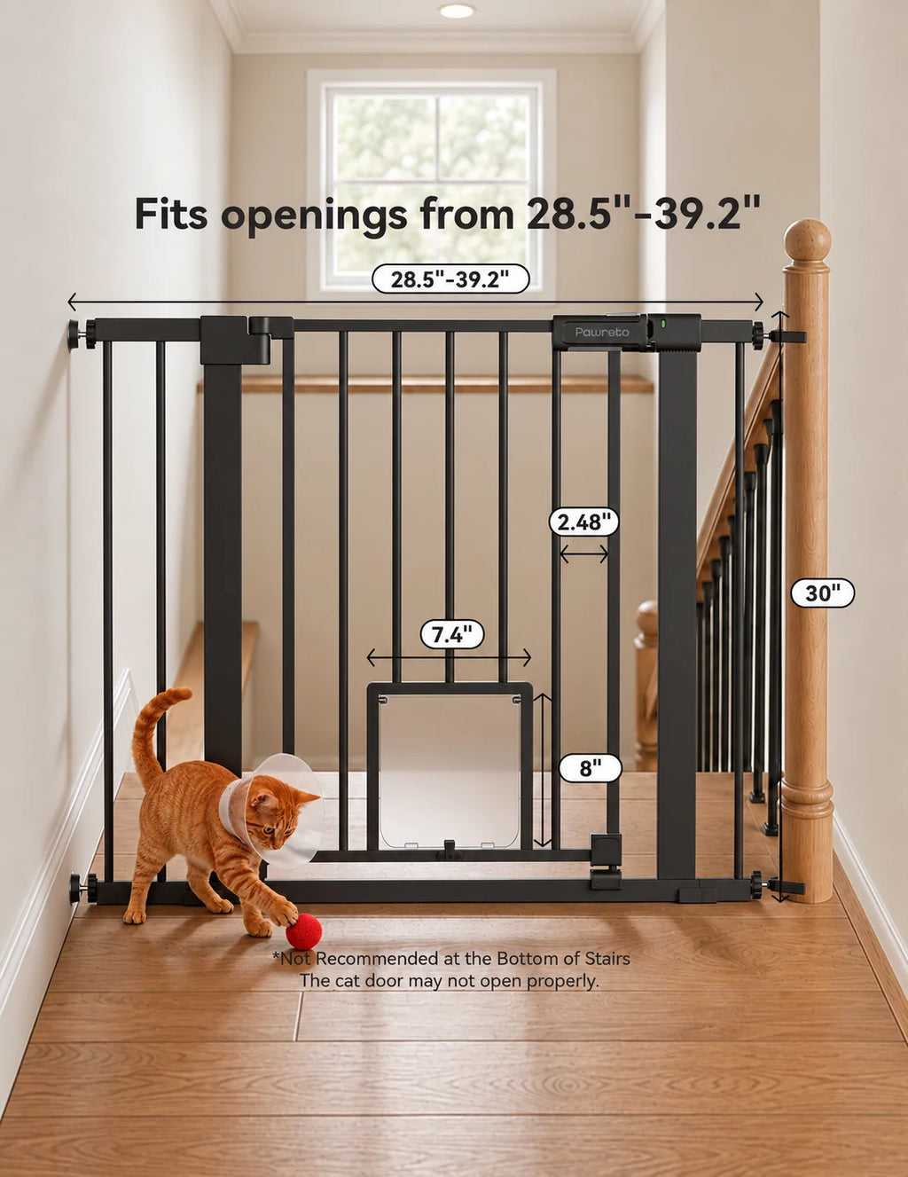 Pressure-Mounted Dog Gate With Cat Door