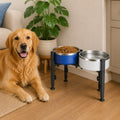 Raised Dog Bowl Stand, Adjustable Height Metal Feeder