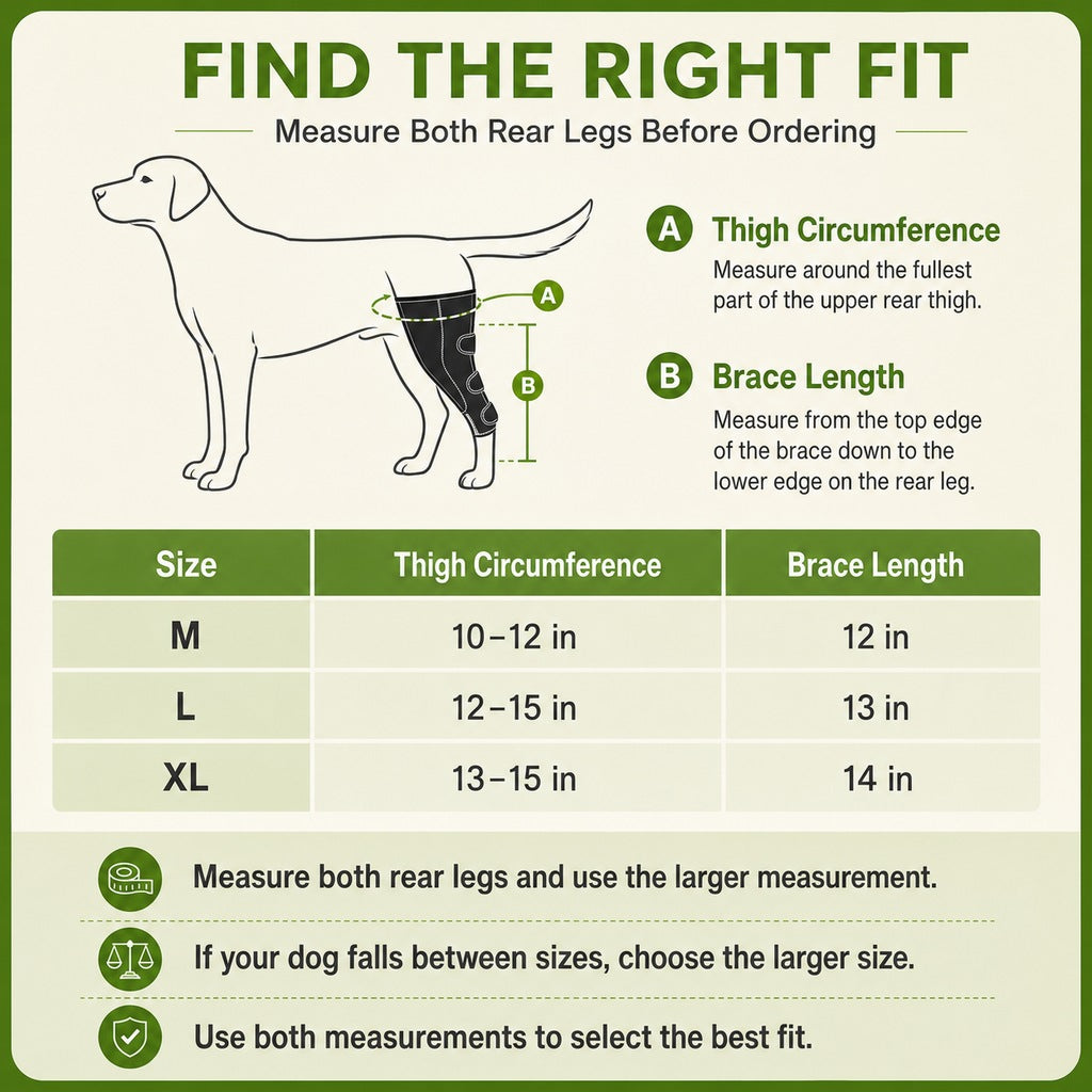 Dog Rear Leg Support Harness with Lifting Handle