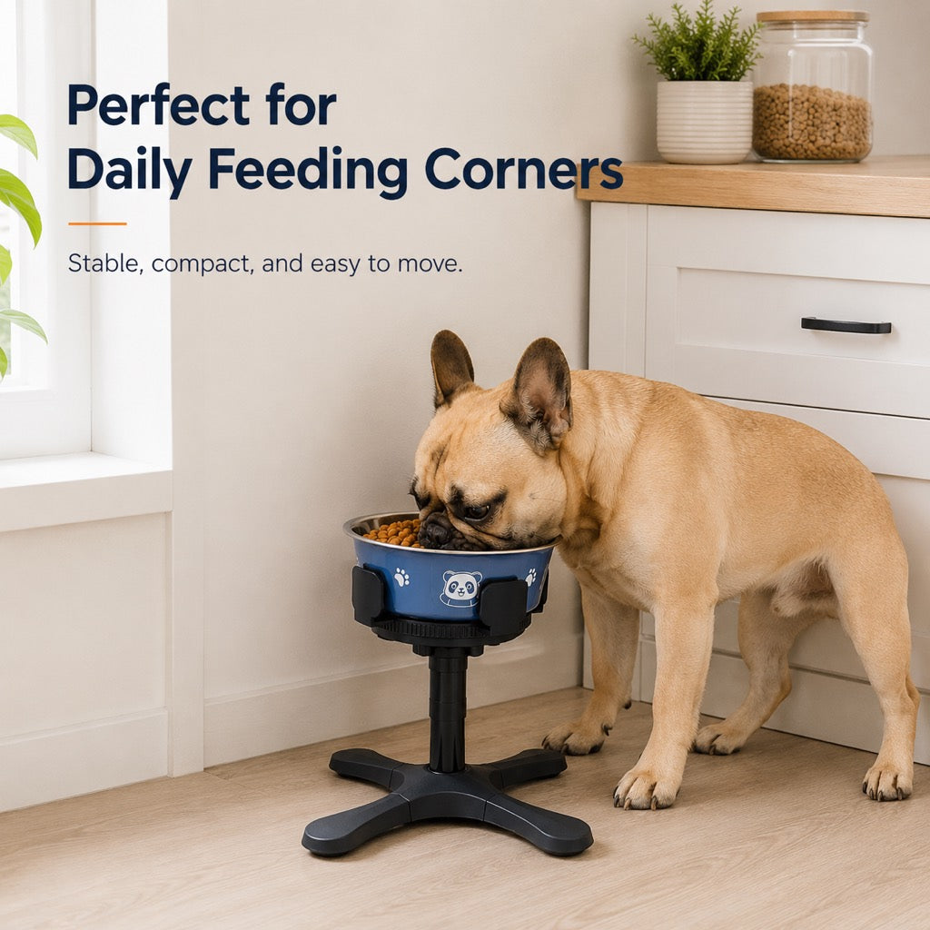 Tilted Raised Dog Bowl, 3-Height Stand with Slow Feeder