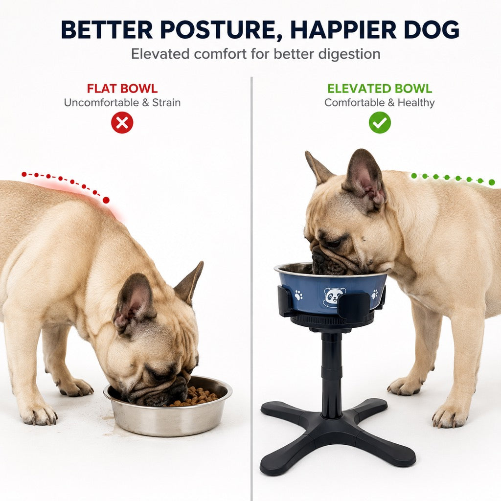 Tilted Raised Dog Bowl, 3-Height Stand with Slow Feeder