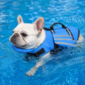 Dog Life Jacket with Chin Float for Flat-Faced Breeds
