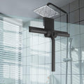 Matt Black Shower Squeegee with Wall Hook