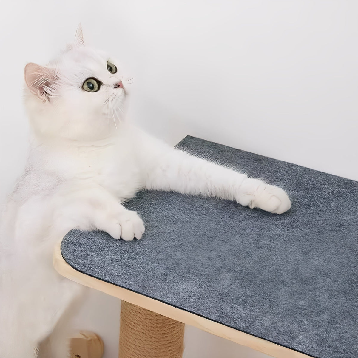 ScratchMat Self-Adhesive Cat Scratcher Mat