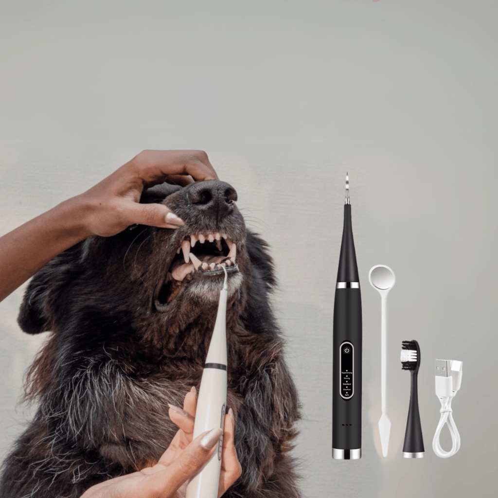 PawBrush Electric Pet Dental Care Kit