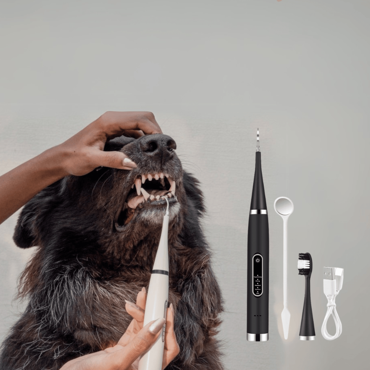 PawBrush Electric Pet Dental Care Kit
