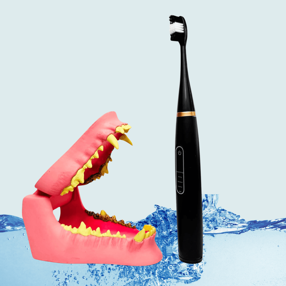PawBrush Electric Pet Dental Care Kit