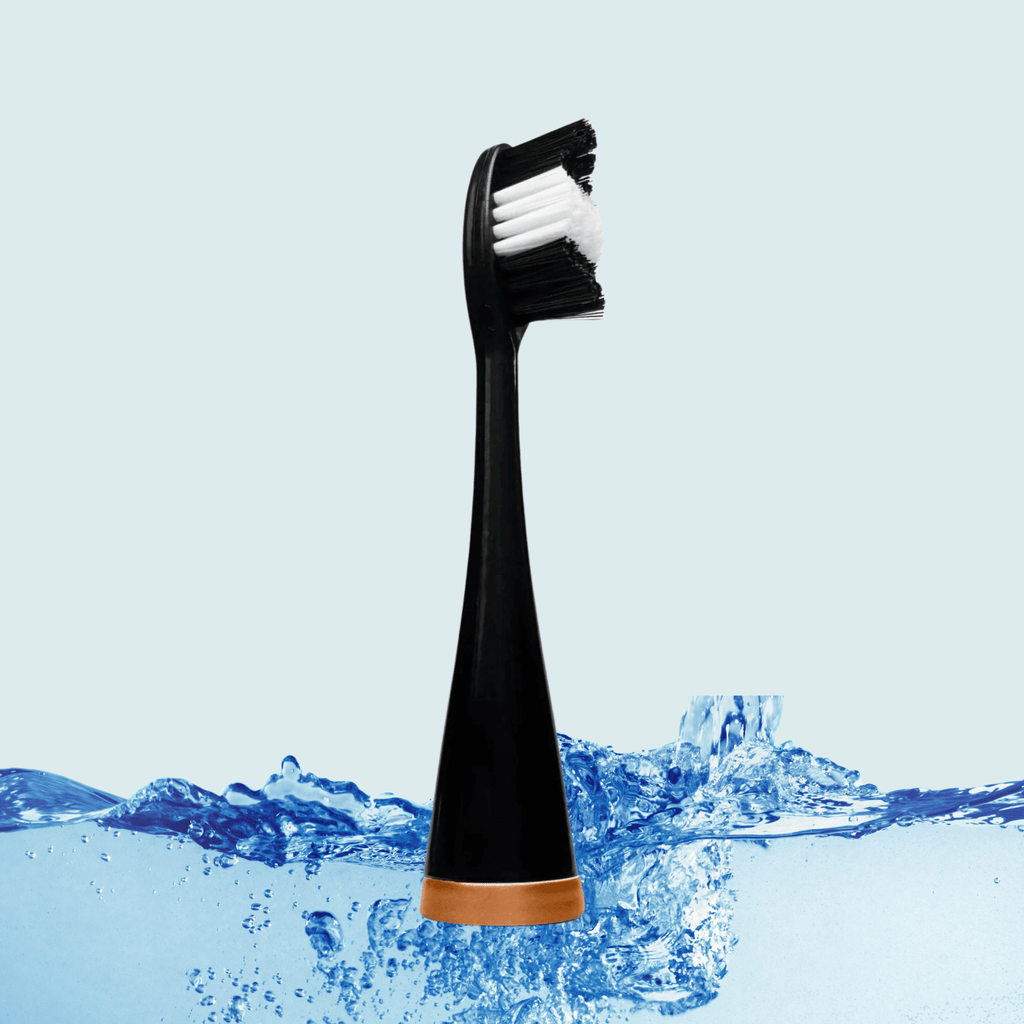 PawBrush Electric Pet Dental Care Kit