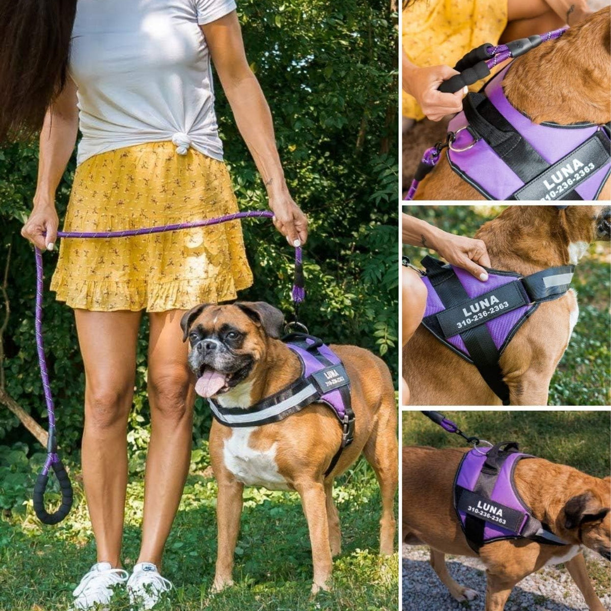 PawGuard Personalised No-Pull Dog Harness