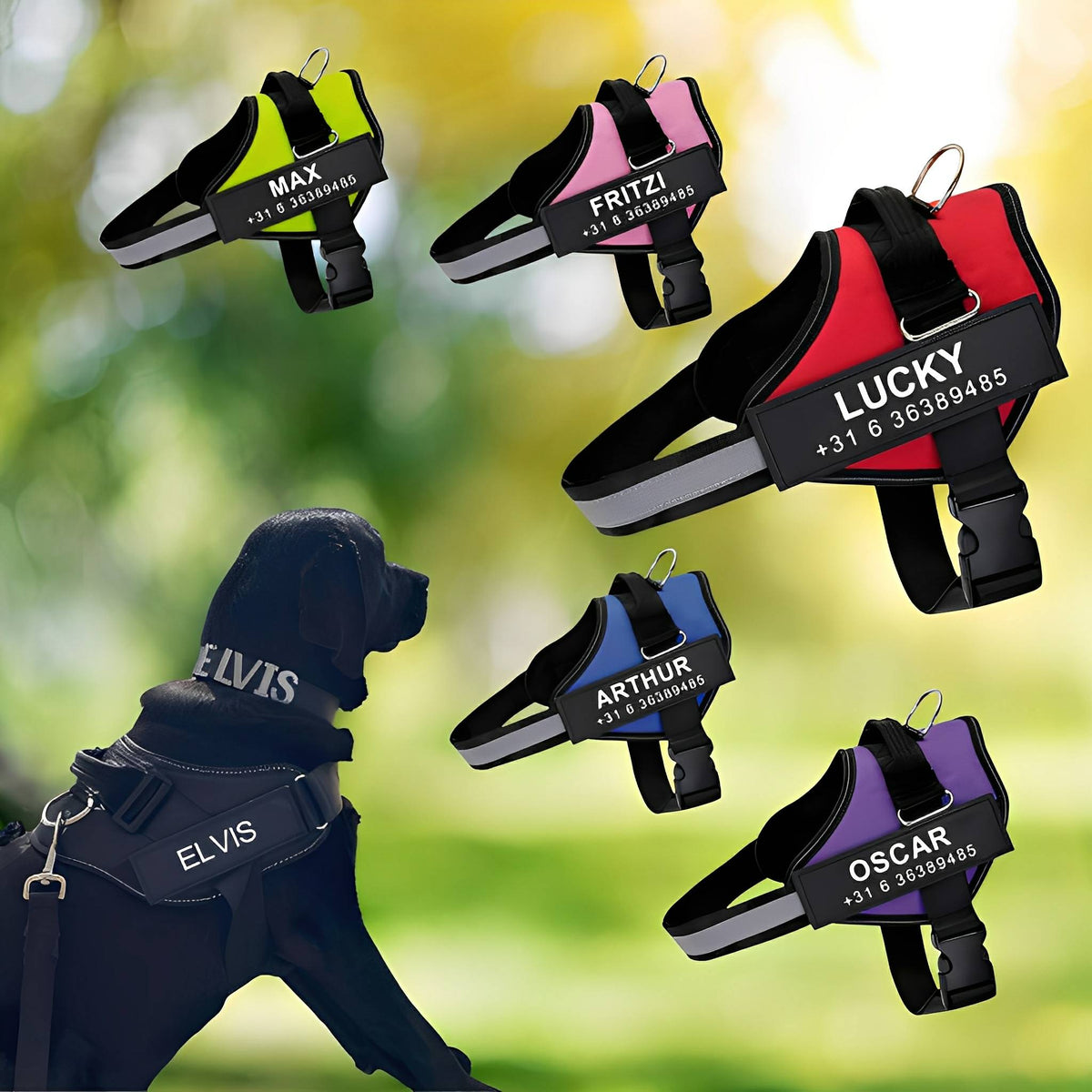 PawGuard Personalised No-Pull Dog Harness