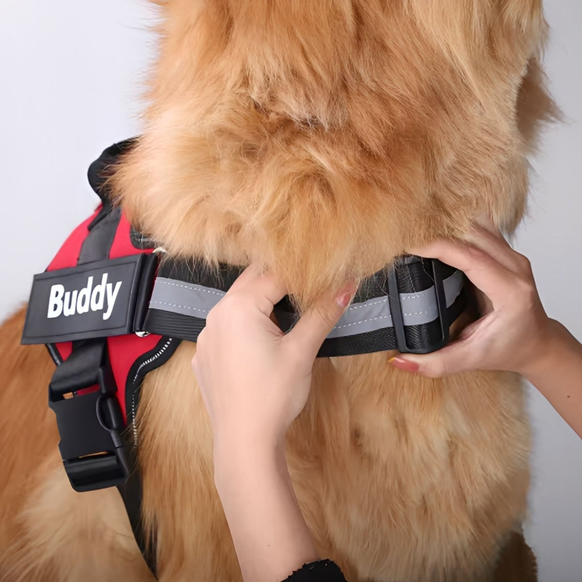 PawGuard Personalised No-Pull Dog Harness