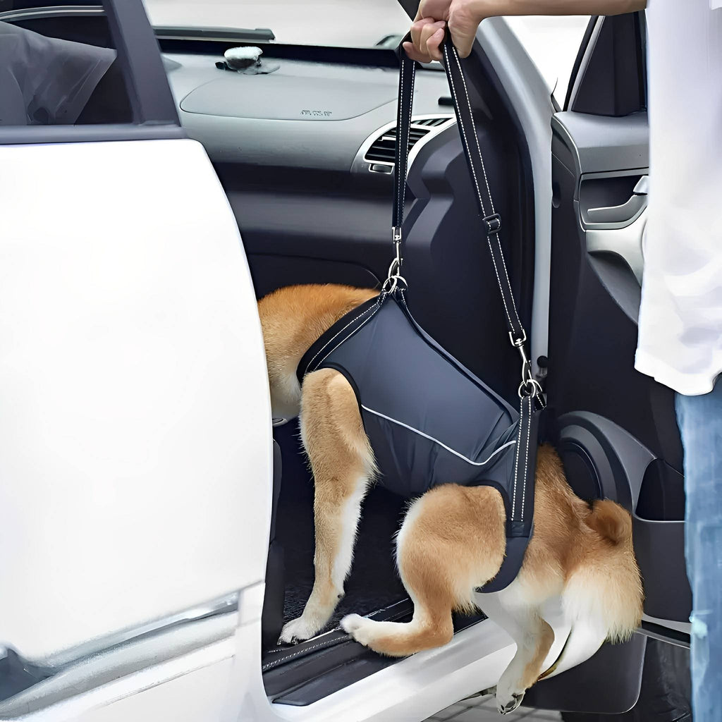 PawLift Full-Body Support Harness for Dogs
