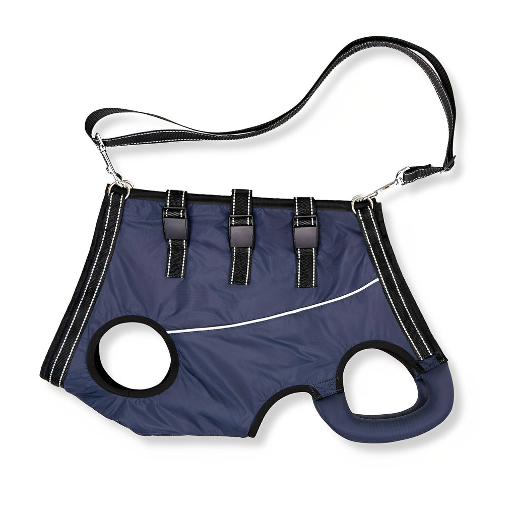 PawLift Full-Body Support Harness for Dogs