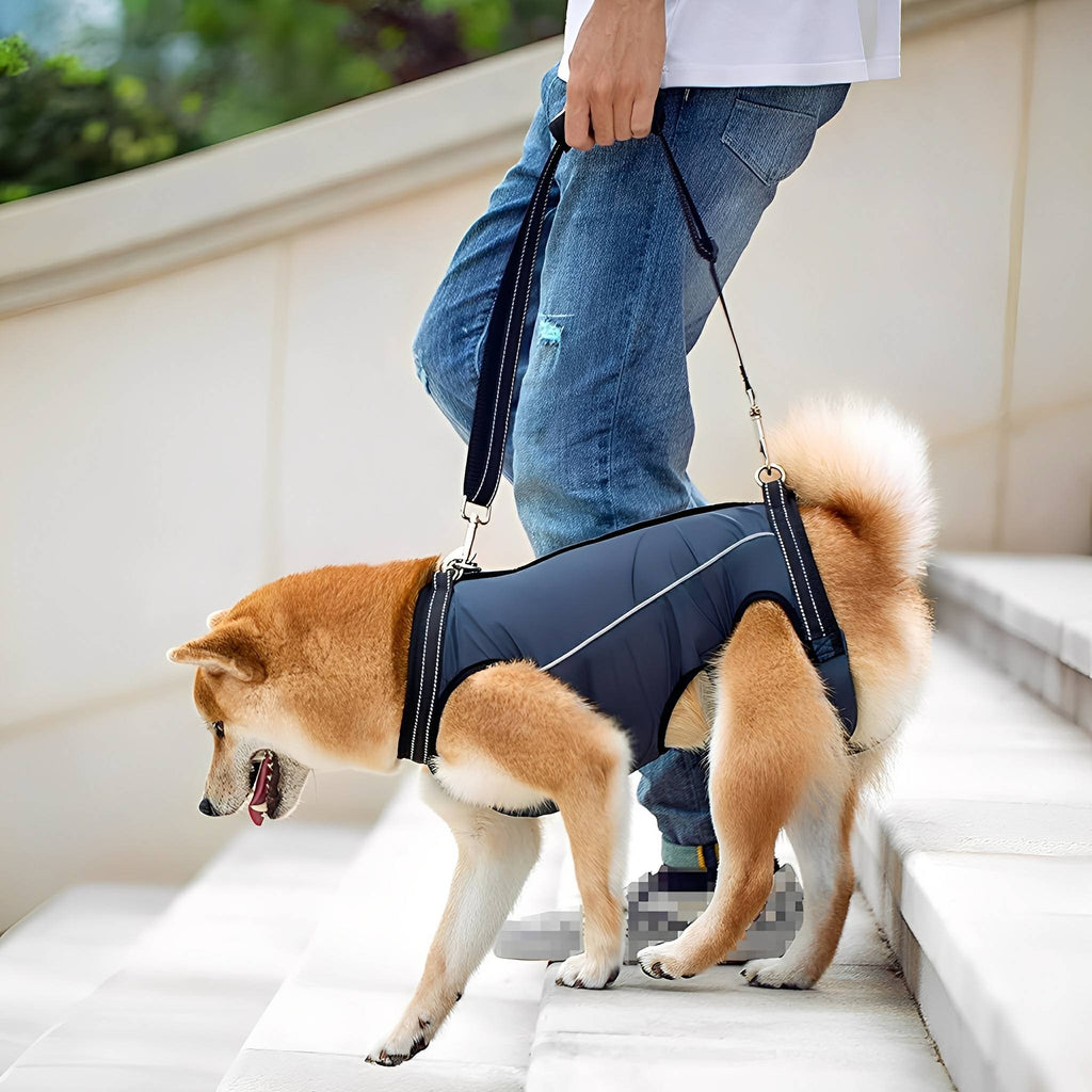 PawLift Full-Body Support Harness for Dogs