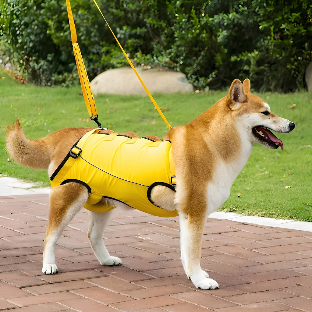 PawLift Full-Body Support Harness for Dogs