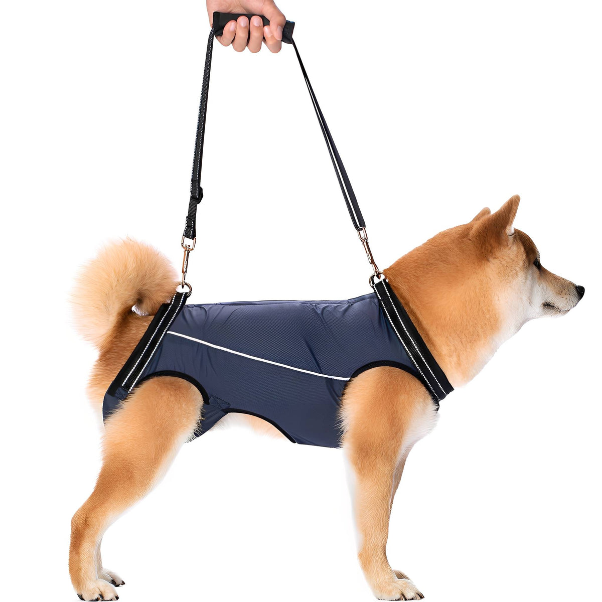 PawLift Full-Body Support Harness for Dogs