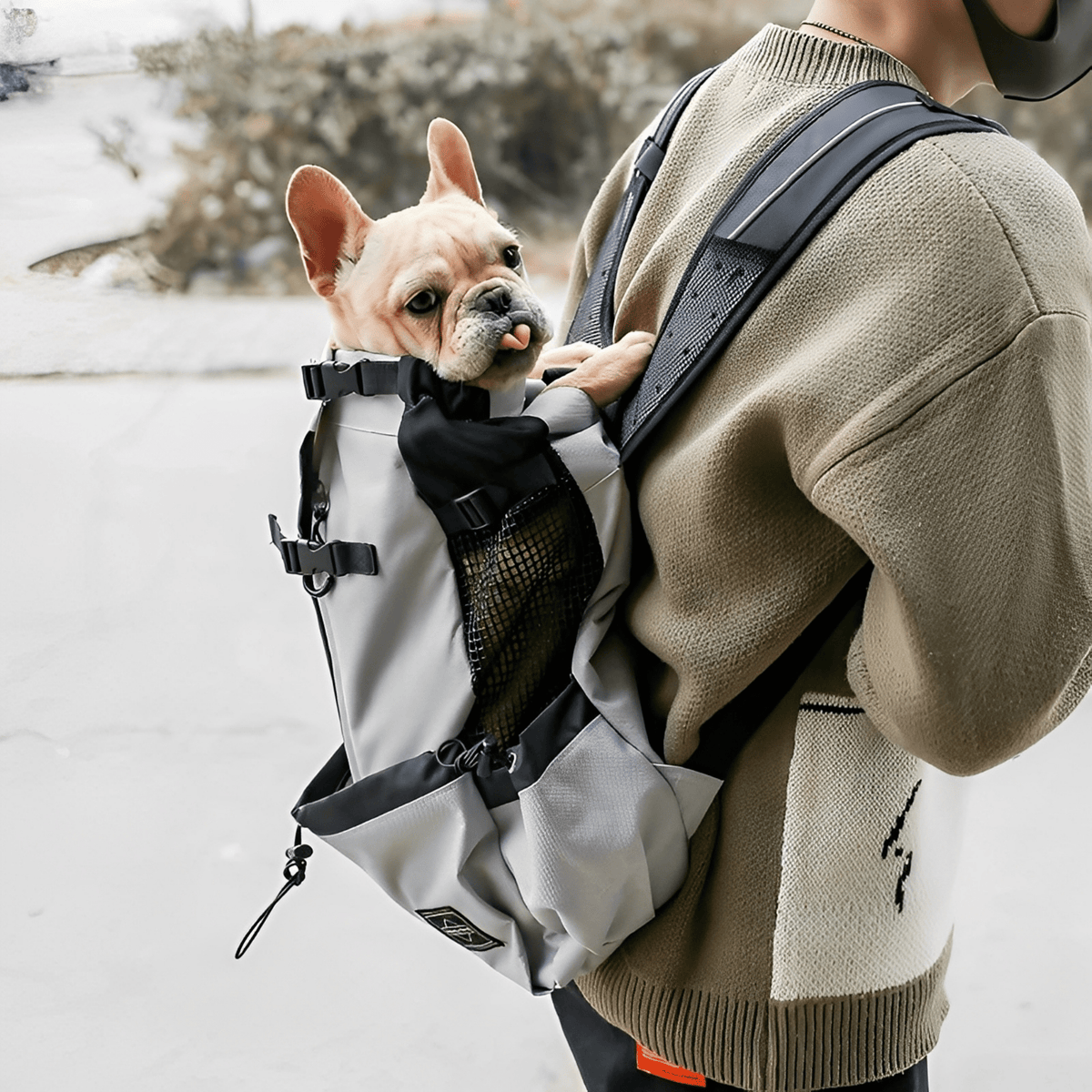 PawPack Ergonomic Dog Carrier Backpack