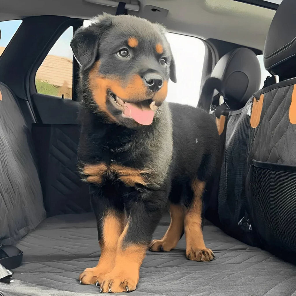 PawPad Full-Width Hard-Bottom Dog Car Seat Cover
