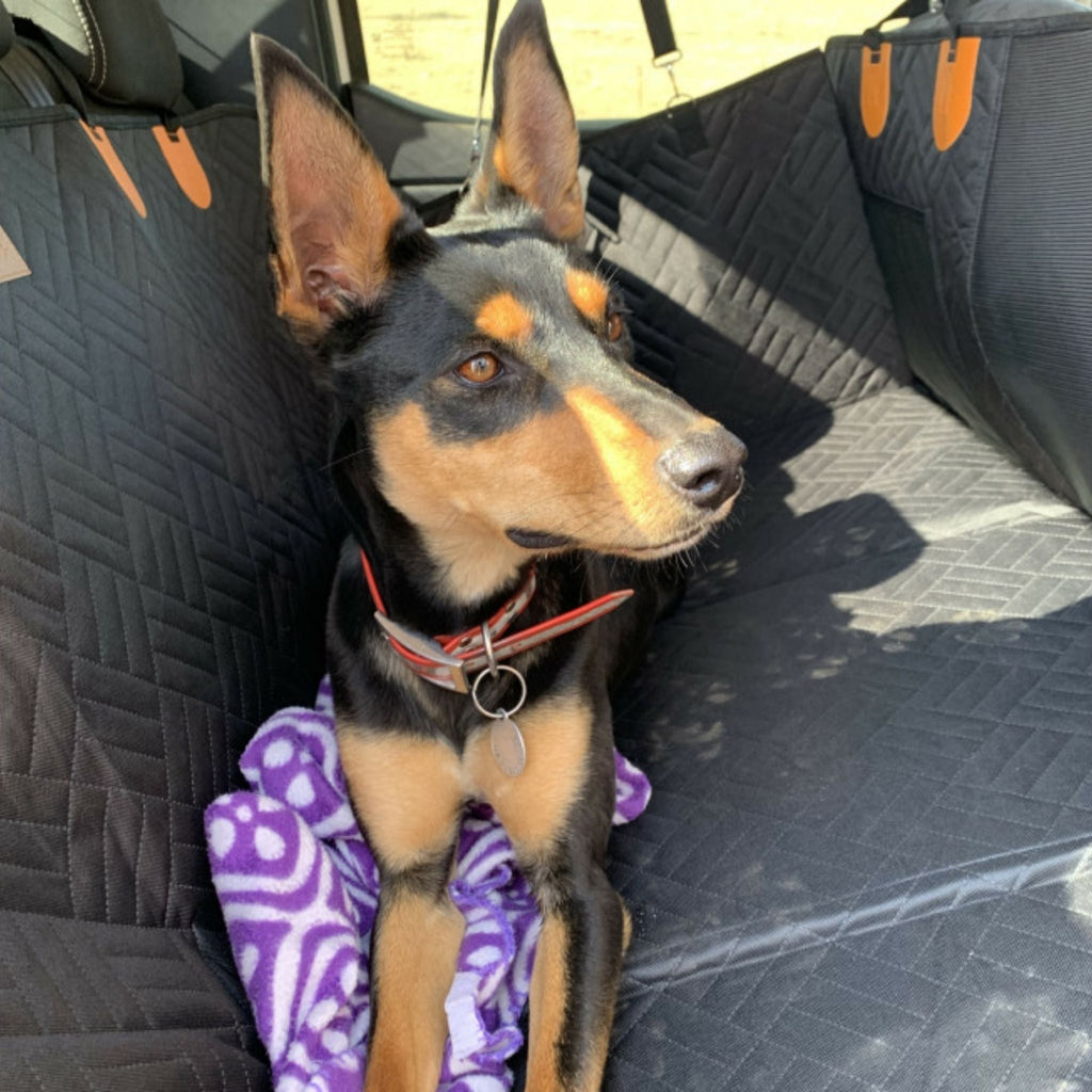 PawPad Full-Width Hard-Bottom Dog Car Seat Cover