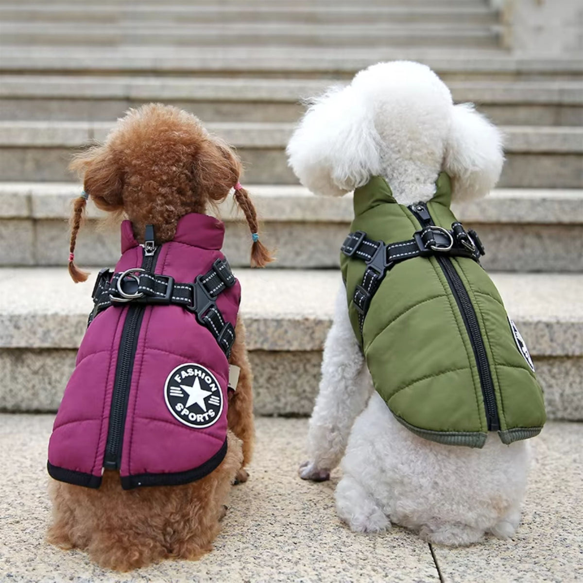 PawShield Padded Winter Dog Coat with Harness