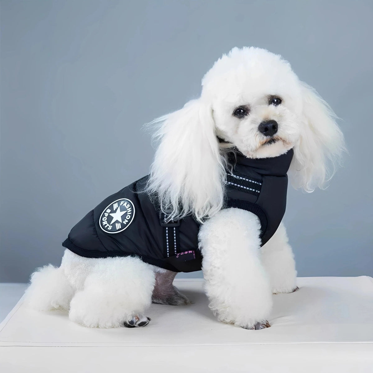 PawShield Padded Winter Dog Coat with Harness