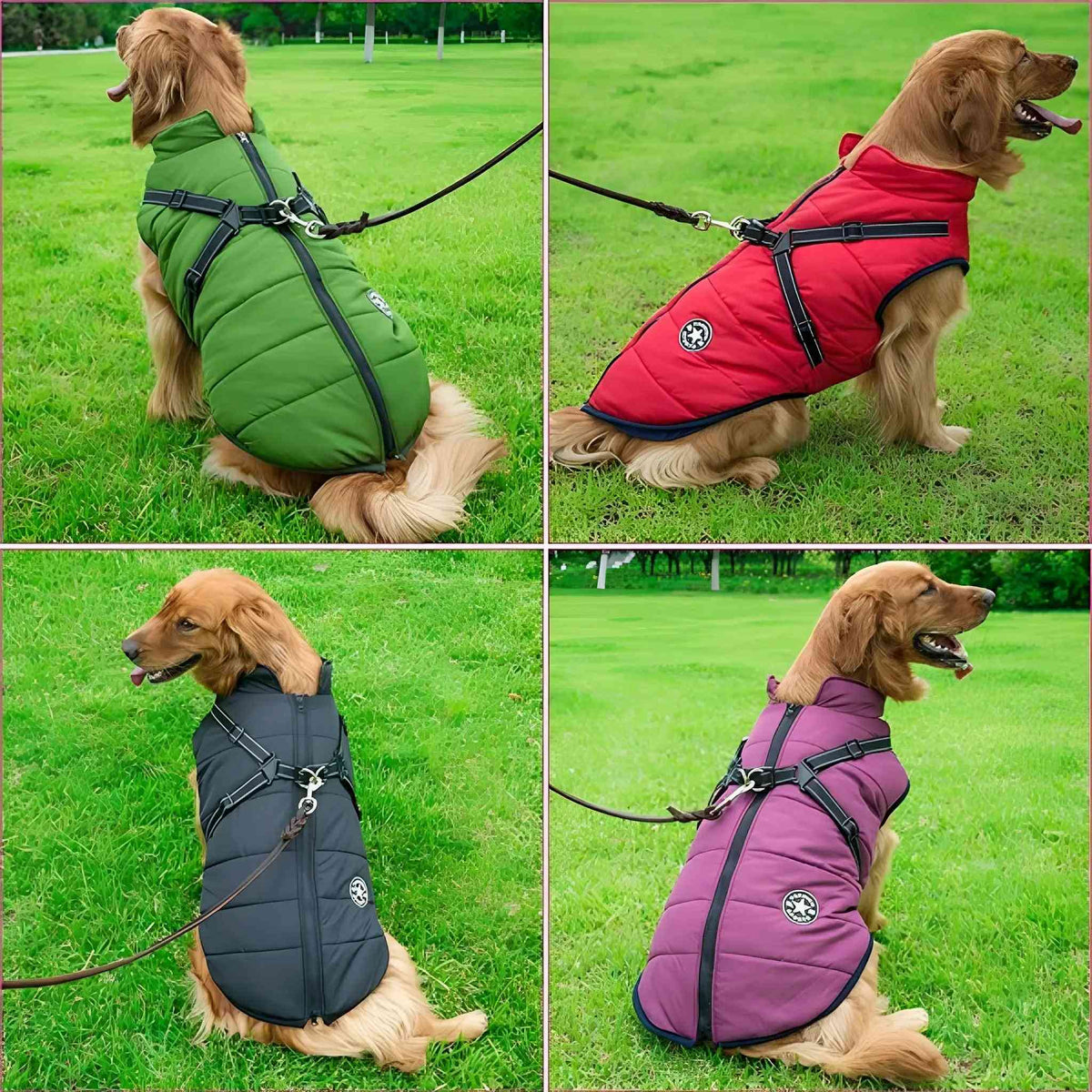 PawShield Padded Winter Dog Coat with Harness