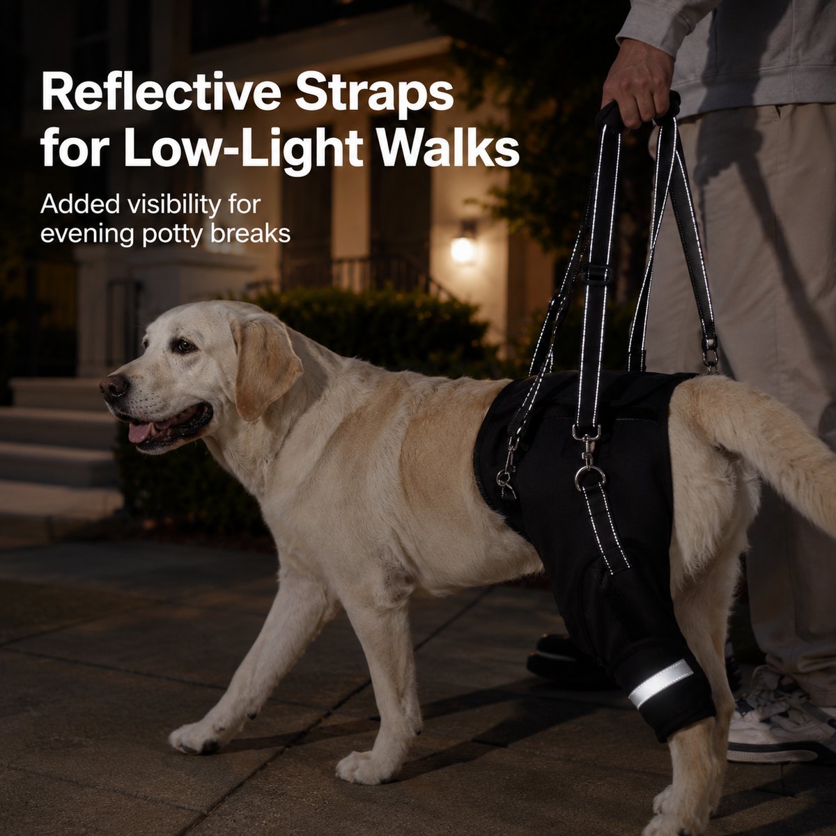 Dog Lifting Harness for Back Legs, Senior Support Sling